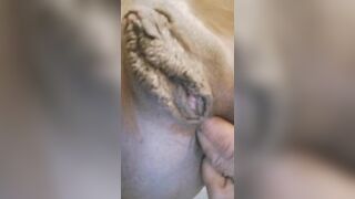 Ebony fingers pussy & dirty booty, ScatKings.com Scat Porn 23 ScatKings.com Scat Porn